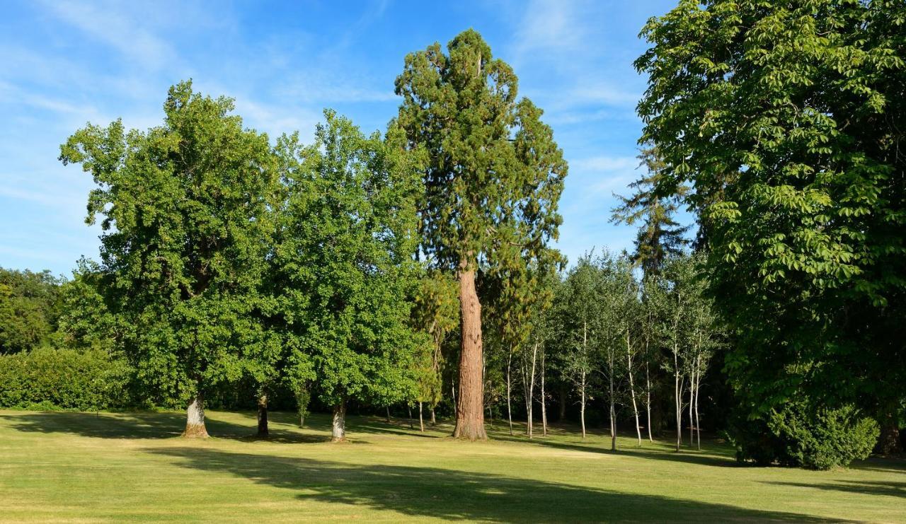 Chateau Le Mas De Montet Petit-Bersac Eksteriør billede